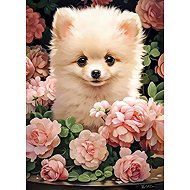 Castorland Pomeranian Puppy in Roses 300 pieces - Jigsaw Puzzle