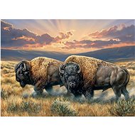 Cobble Hill Puzzle Dust Plains 1000 pieces - Jigsaw Puzzle