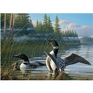 Cobble Hill Puzzle Sinking 1000 pieces - Jigsaw Puzzle