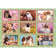 Clementoni Puppies 180 pieces - Jigsaw Puzzle