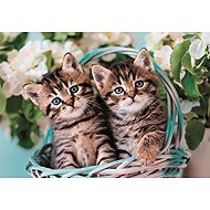 Clementoni Twin Kittens 60 pieces - Jigsaw Puzzle