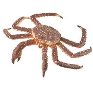 Collecta King Crab - Figure