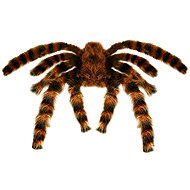 Widmann Tarantula 65 cm - Decoration