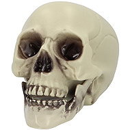 Boland Decorative skull (15 × 20 × 16 cm) - Decoration