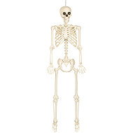Boland Skeleton for hanging 160 cm - Decoration