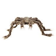 Boland the Hairy Spider - Decoration