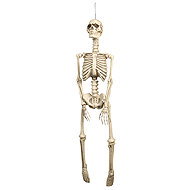 Boland Skeleton for hanging 92 cm - Decoration