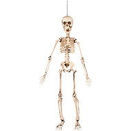 Boland Skeleton for hanging 50 cm - Decoration