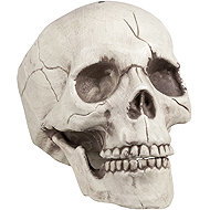 Boland Skull with movable jaw 21 cm - Decoration