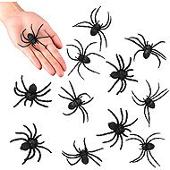 Boland Spiders 12 pcs - Decoration