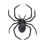 Carnival toys Plastic spider 15 cm - Decoration