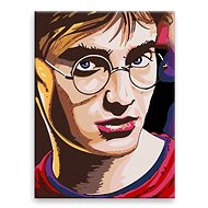 Harry Potter 04 - 30 × 40 cm, canvas on frame - Painting by Numbers