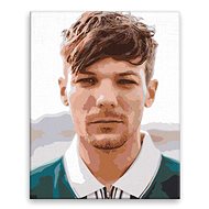 Louis Tomlinson 02 - 40 × 50 cm, canvas on frame - Painting by Numbers