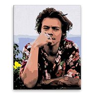 Harry Styles 04 - 80 × 100 cm, canvas on frame - Painting by Numbers