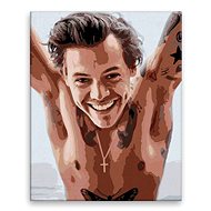 Harry Styles 01 - 80 × 100 cm, canvas off the frame - Painting by Numbers