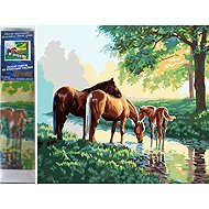 Norimpex Koně u vody 40 × 30 cm - Diamond Painting