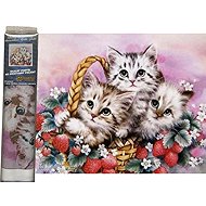 Norimpex Koťata v jahodách 40 × 30 cm - Diamond Painting