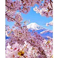 Norimpex Mount Fuji in Spring 40 × 30cm - Diamond Painting
