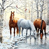 Norimpex Tři koně v zimě 40 × 30 cm - Diamond Painting
