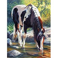 Norimpex Strakatý kůň 40 × 30 cm - Diamond Painting