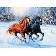 Norimpex Zimní závod 40 × 30 cm - Diamond Painting