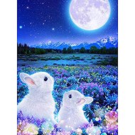 Norimpex White Bunnies in the Moonlight 40 × 30cm - Diamond Painting