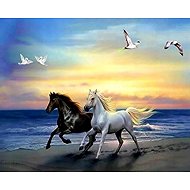 Norimpex Horses on the beach 30 × 40 cm - Diamond Painting