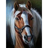 Norimpex Portrét koně 30 × 40 cm - Diamond Painting