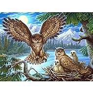 Norimpex Soví hnízdo 30 × 40 cm - Diamond Painting