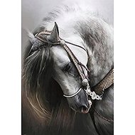 Norimpex Portrait of a white horse 30 × 40 cm - Diamond Painting