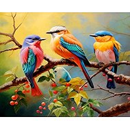 Norimpex Barevní ptáčci 30 × 40 cm - Diamond Painting