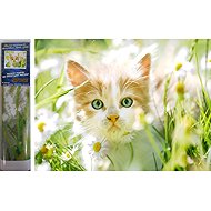 Norimpex Cat among daisies 30 × 40 cm - Diamond Painting