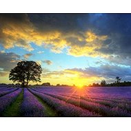 Norimpex Sun over lavender field 30 × 40 cm - Diamond Painting