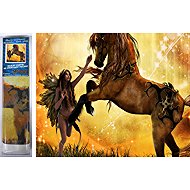 Norimpex Taming the Horse 30 × 40 cm - Diamond Painting