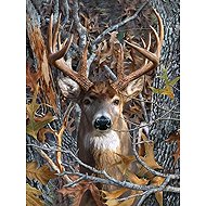 Norimpex Jelenův pohled 30 × 40 cm - Diamond Painting