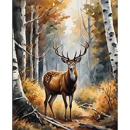 Norimpex Pán lesa 30 × 40 cm - Diamond Painting