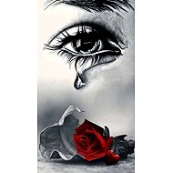 Norimpex Crying over roses 30 × 40 cm - Diamond Painting