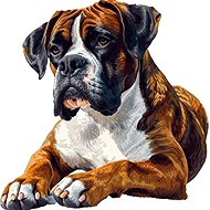 Norimpex Bo × er 30 × 40 cm - Diamond Painting