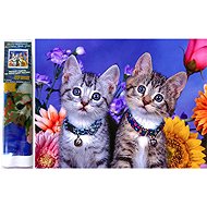 Norimpex Two kittens 30 × 40 cm - Diamond Painting