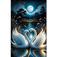 Norimpex Labutě při úplňku 30 × 40 cm - Diamond Painting