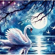 Norimpex Labuť při úplňku 30 × 40 cm - Diamond Painting