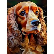 Norimpex Kokršpaněl 30 × 40 cm - Diamond Painting