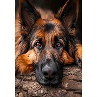 Norimpex Resting German Shepherd 30 × 40 cm - Diamond Painting