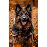 Norimpex German Shepherd in flowers 30 × 40 cm - Diamond Painting