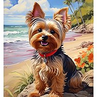 Norimpex Yorkshireman on the beach 30 × 40 cm - Diamond Painting