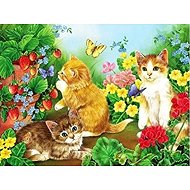 Norimpex Cats and butterflies 30 × 40 cm - Diamond Painting