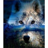 Norimpex Wolf spirit at night 30 × 40 cm - Diamond Painting