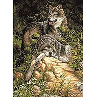 Norimpex Vlci v lese 30 × 40 cm - Diamond Painting