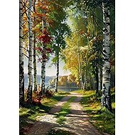Norimpex Cesta lesem u jezera 30 × 40 cm - Diamond Painting