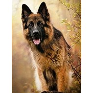 Norimpex German Shepherd 30 × 40 cm - Diamond Painting